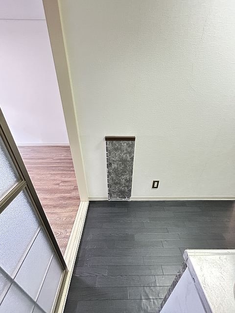  ラプラスレナータ