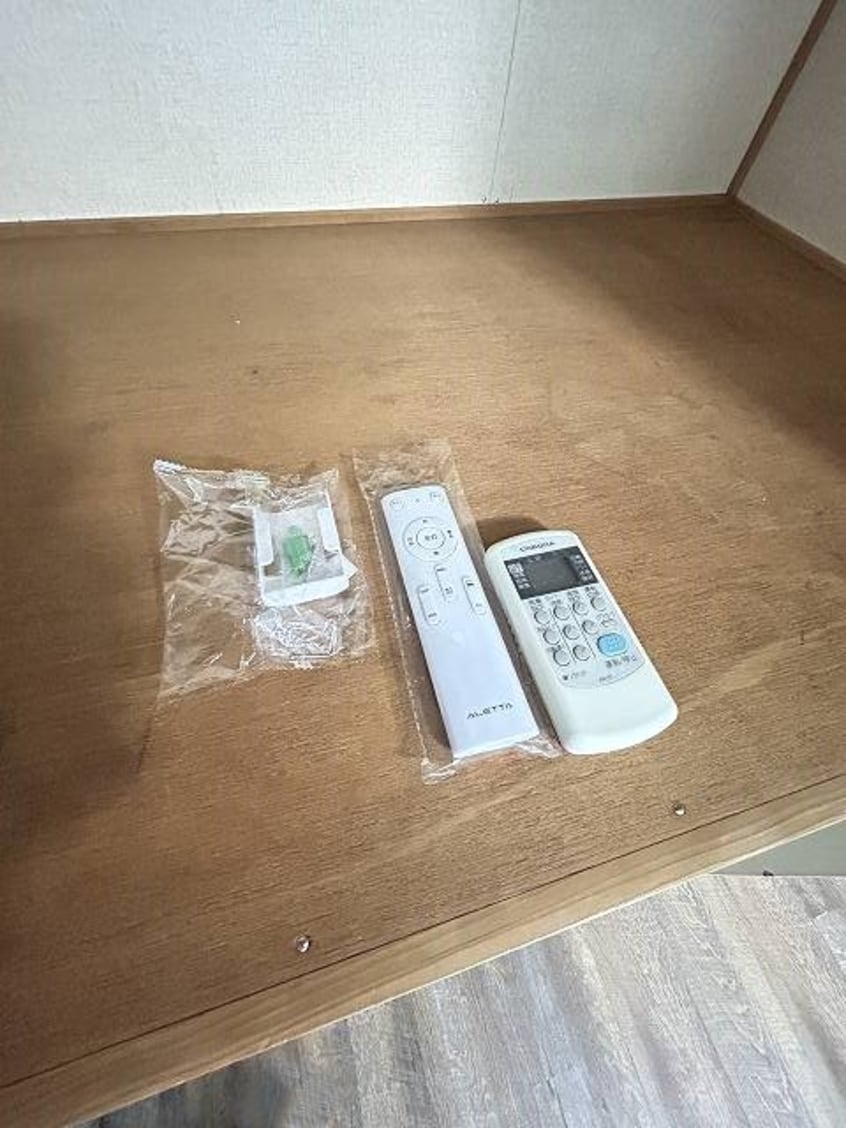  ラプラスレナータ