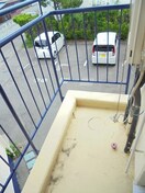写真は2-Cです（参考） ハイツウィング金子