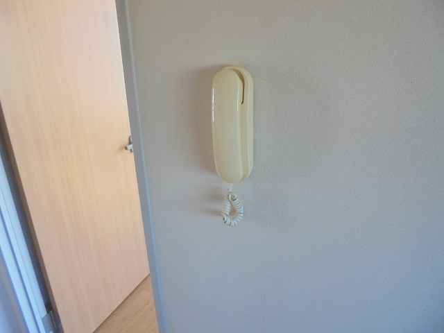  ディアスマロン