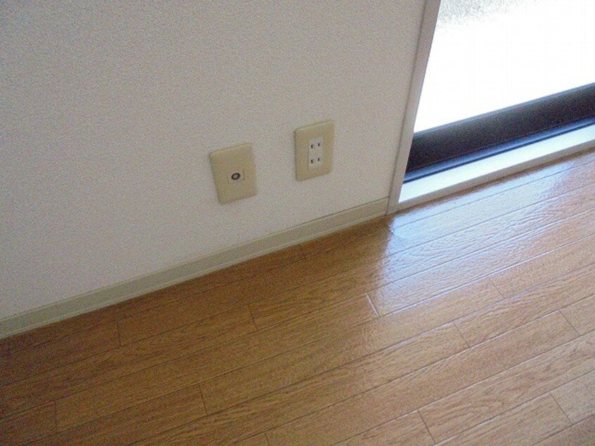  ディアスマロン