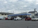 ﾛｰｿﾝ 長野西尾張部店(コンビニ)まで631m パナタウン南長池Ｂ棟