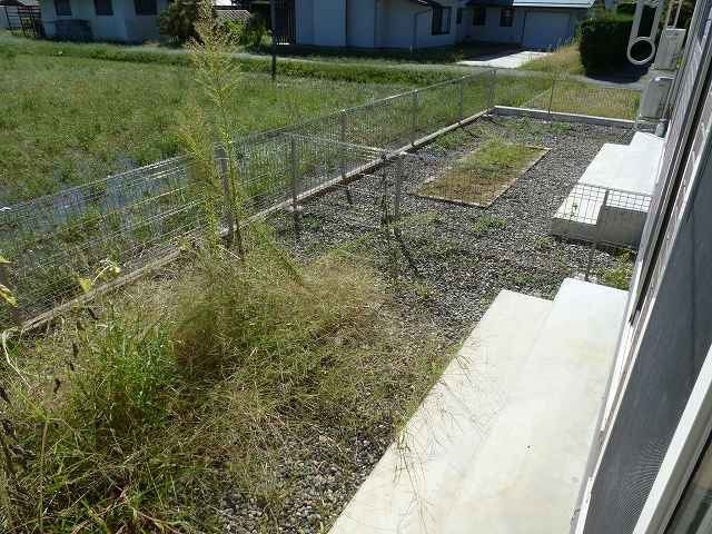 写真は101号室です（参考） アンベリール長池Ｂ