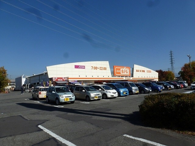ｻﾞ･ﾋﾞｯｸﾞ 長野東店(スーパー)まで1065m サンディ長池ハイツ