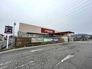 DCM長野運動公園店(電気量販店/ホームセンター)まで962m サンディ長池ハイツ