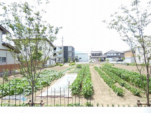  ファルコンベース若宮