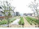  ファルコンベース若宮