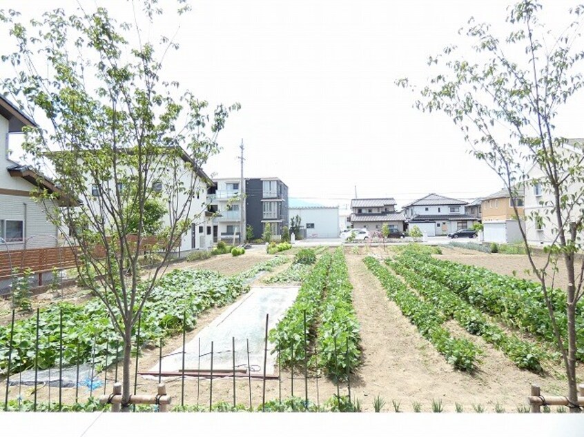  ファルコンベース若宮