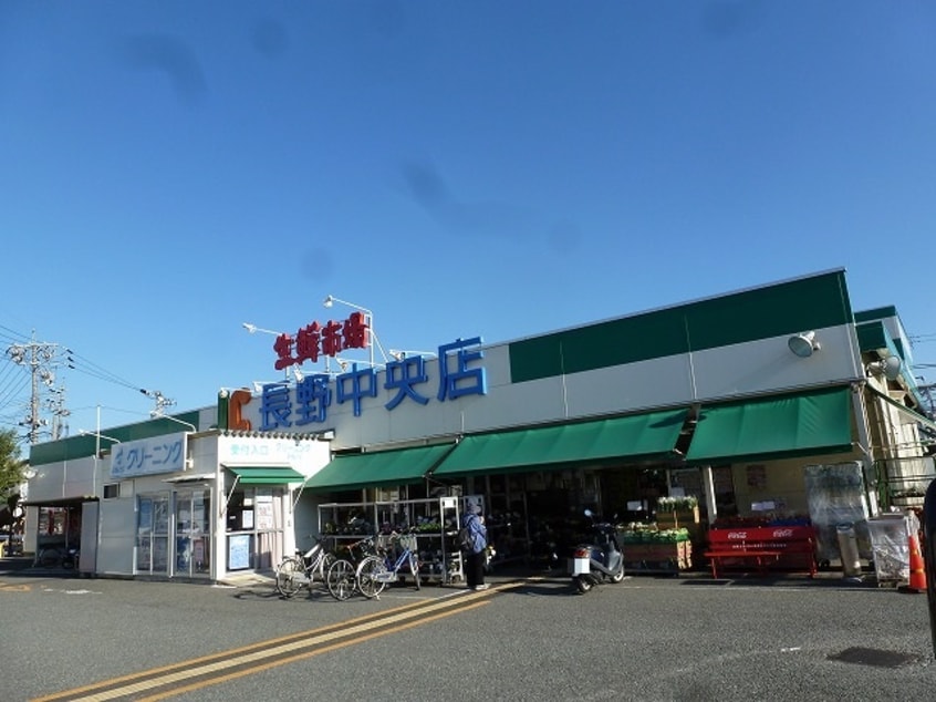 生鮮市場JC長野中央店(スーパー)まで265m モンレーヴ