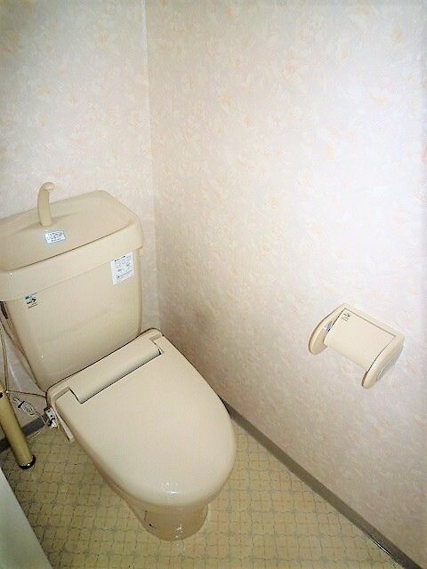 写真は302号室です（参考） プモリハイツ南館