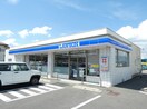 ﾛｰｿﾝ 諏訪豊田店(コンビニ)まで788m Sun Court ITAYA A棟