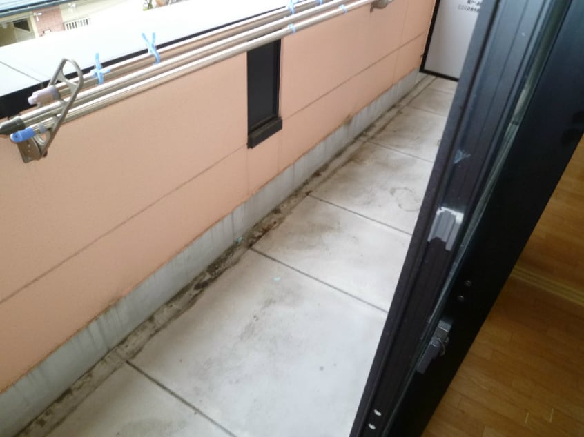 写真は類似部屋 ビュー城門Ｃ