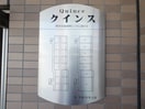  クインス