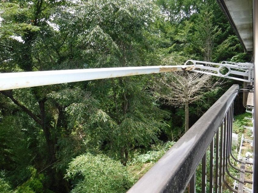 参考写真 東雲７