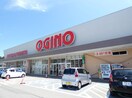 ｵｷﾞﾉ 岡谷店(スーパー)まで586m 信和第二マンション