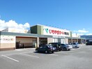 いちやまマート 岡谷店(スーパー)まで1555m フォレストグリーンハマE