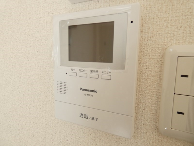  Surplus藤