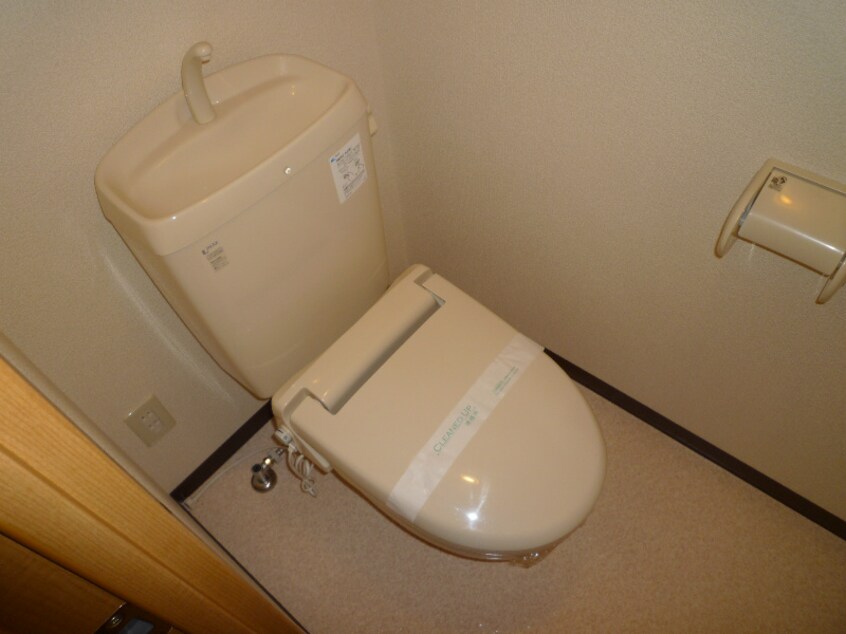  アコールパレットC