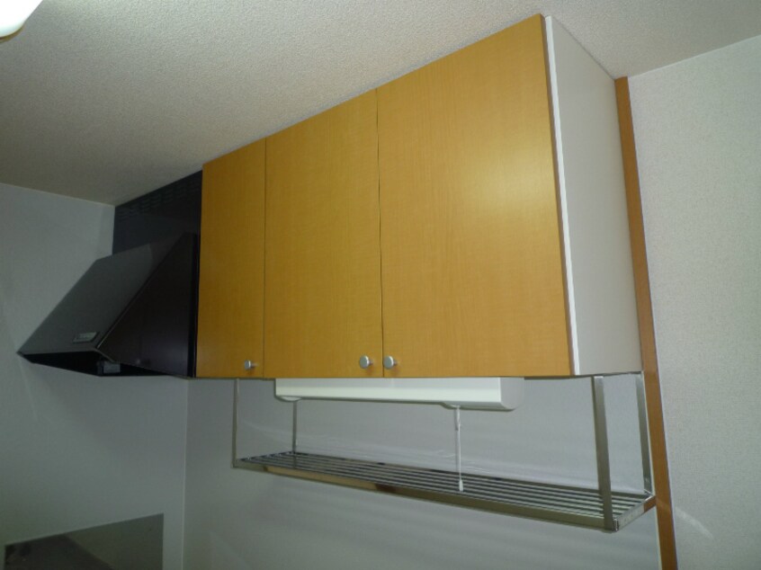  アコールパレットC