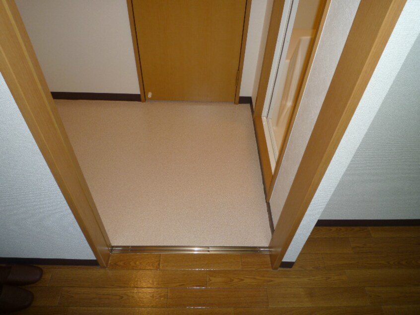  アコールパレットC