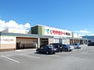 いちやまマート 岡谷店(スーパー)まで912m アップルガーデンコーポ