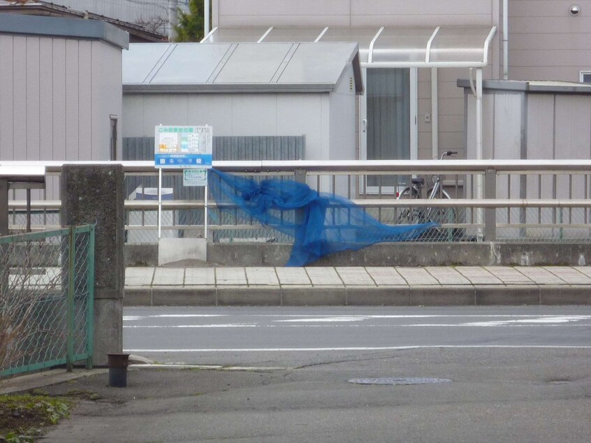  コットンヒルズ坂本