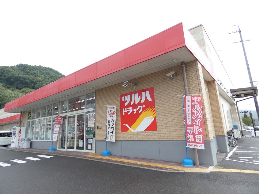 ﾂﾙﾊﾄﾞﾗｯｸﾞ下諏訪店(ドラッグストア)まで660m パッションビル