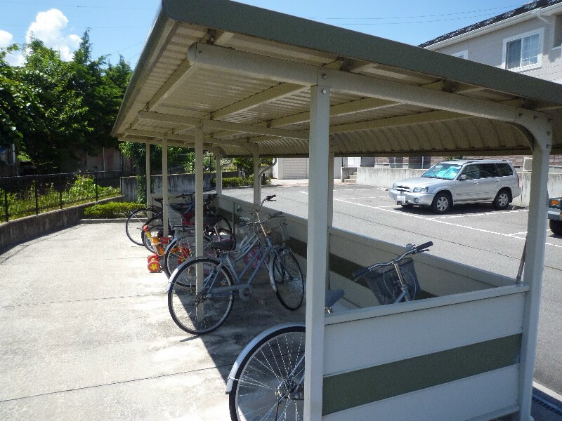  コータ・コートA