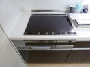  ピアストーンIIA