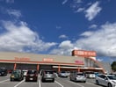 ｻﾞ･ﾋﾞｯｸﾞ 茅野店(スーパー)まで2312m コーポ梨の木　B