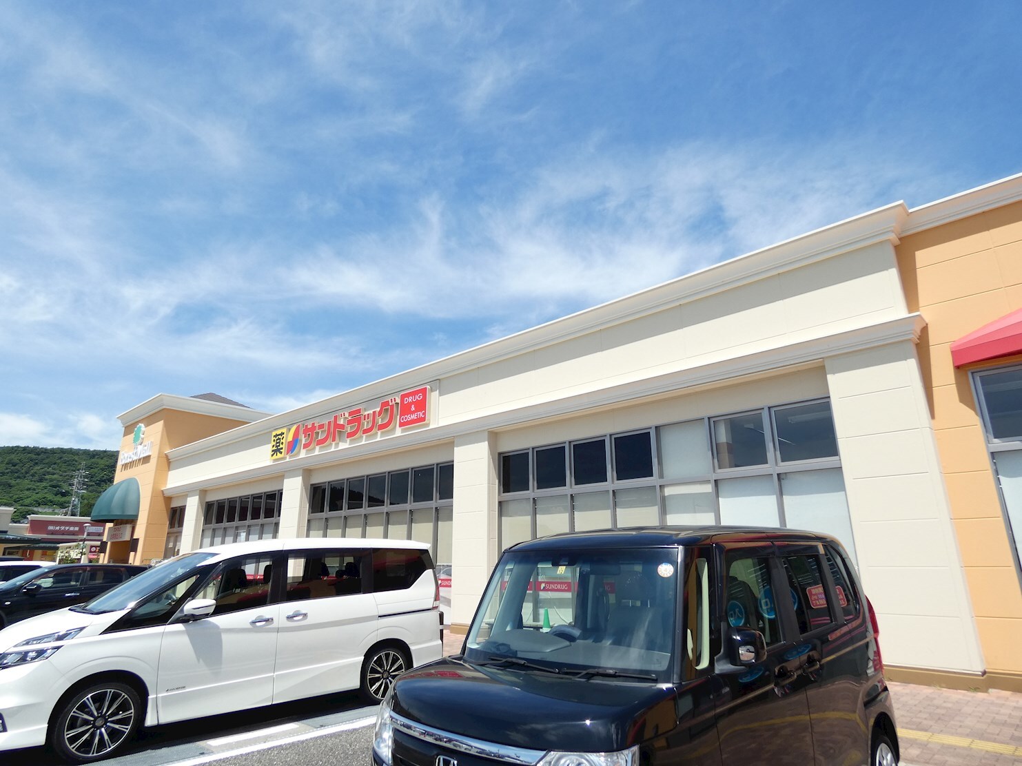 サンドラッグ 岡谷店(ドラッグストア)まで1162m フレグランス西林C