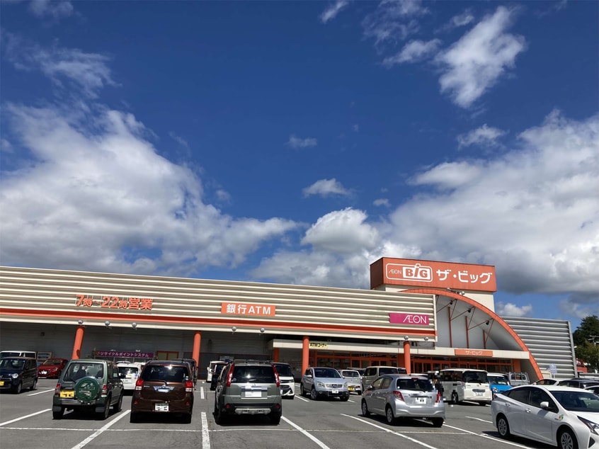 ｻﾞ･ﾋﾞｯｸﾞ 茅野店(スーパー)まで1876m ピアストーンB