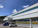 ｸｽﾘのｻﾝﾛｰﾄﾞ 米沢店(ドラッグストア)まで193m ライツ・カーサ　Ａ