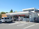 ｾﾌﾞﾝｲﾚﾌﾞﾝ 下諏訪湖浜店(コンビニ)まで386m カーサ・デ・ブランカ