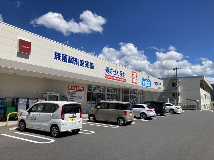 ｳｴﾙｼｱ岡谷長地北店(ドラッグストア)まで649m ディアスサンライトC