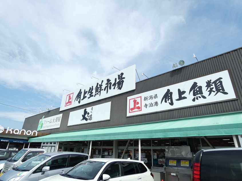 角上魚類諏訪店(スーパー)まで1192m コーポMaisen