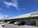 ﾄﾞﾗｯｸﾞｽﾄｱ ﾏﾂﾓﾄｷﾖｼ 上原店(ドラッグストア)まで471m アルペンＢ