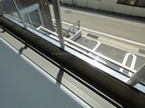  サンフラワーガーデン2