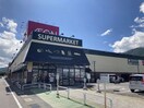 ｲｵﾝ諏訪ｽﾃｰｼｮﾝﾊﾟｰｸ店(スーパー)まで465m Topaz House