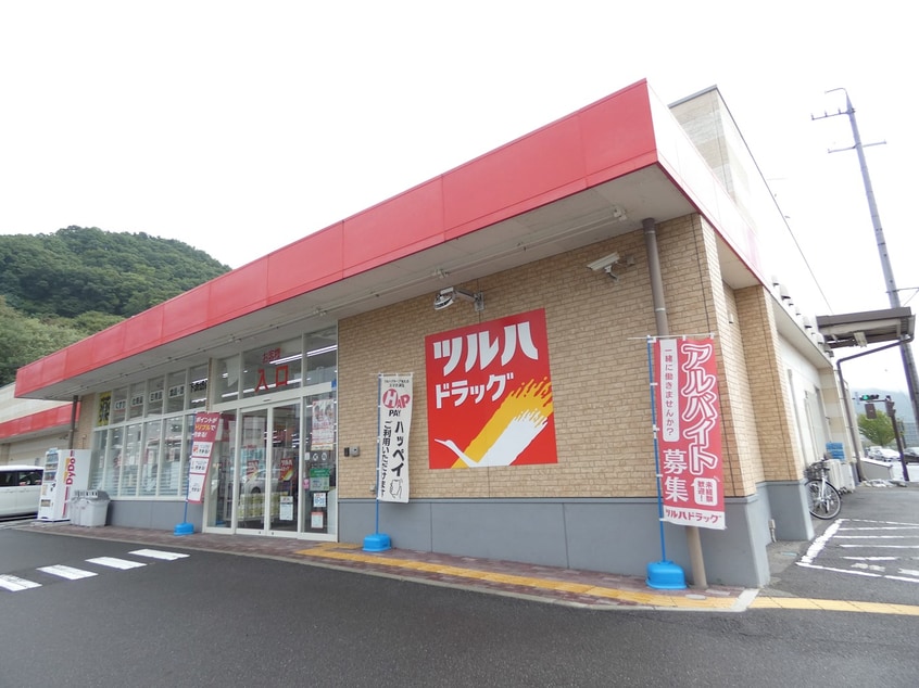 ﾂﾙﾊﾄﾞﾗｯｸﾞ下諏訪店(ドラッグストア)まで796m プチモンド諏訪レイク