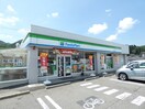 ﾌｧﾐﾘーﾏーﾄ 岡谷湊湖畔店(コンビニ)まで655m Goodice　諏訪湖SA