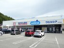 ｳｴﾙｼｱ茅野本町店(ドラッグストア)まで725m フェレーザ本町
