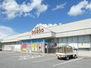 ﾄﾞﾗｯｸﾞｺｽｺ富士見店(ドラッグストア)まで1000m サンフジ2