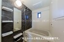 同シリーズ同タイプ写真です プラシード