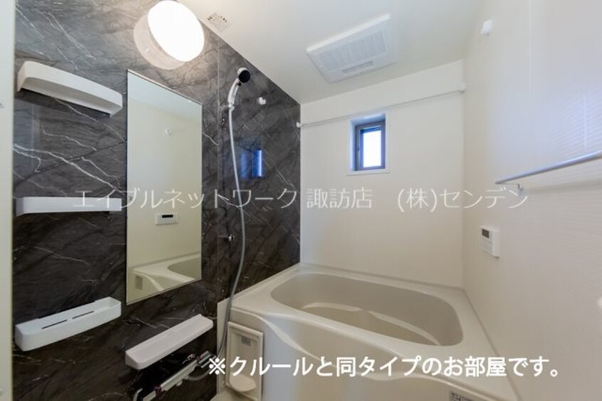 同シリーズ同タイプ写真です プラシード