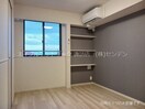 同シリーズ同タイプ写真です プラシード