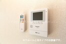 同シリーズ同タイプ写真です プラシード