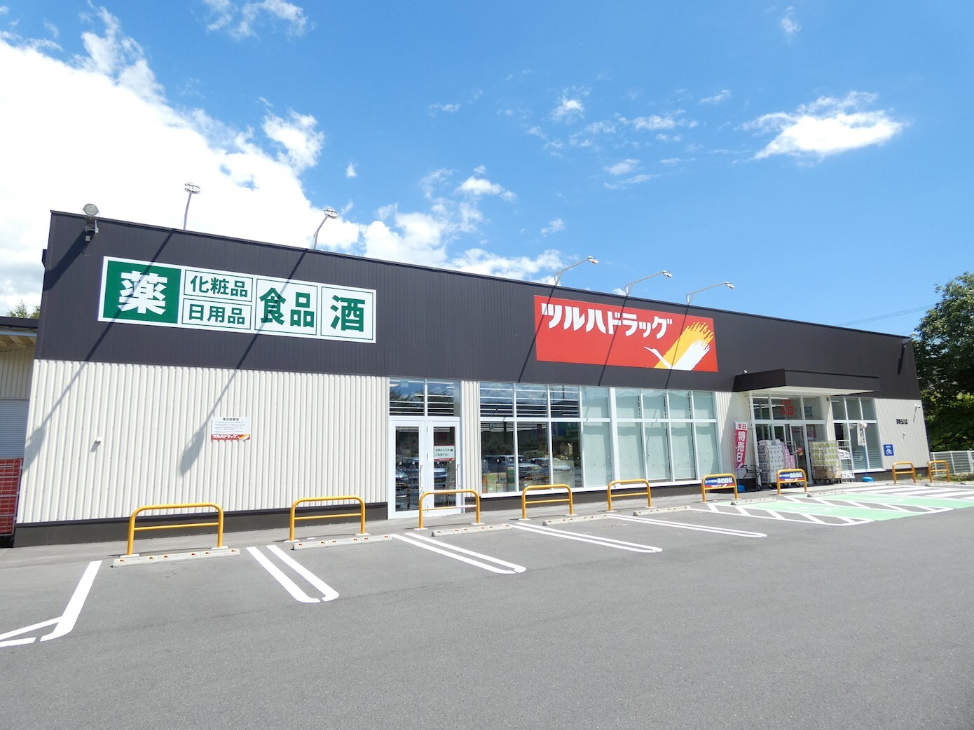 ﾂﾙﾊﾄﾞﾗｯｸﾞ 茅野玉川店(ドラッグストア)まで1749m フォレスターナ ココB