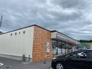 ｾﾌﾞﾝｲﾚﾌﾞﾝ 上田常田3丁目店(コンビニ)まで523m Brandnew City C