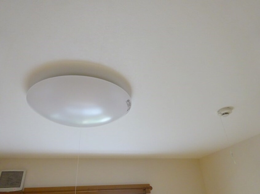 参考写真 スイングN１